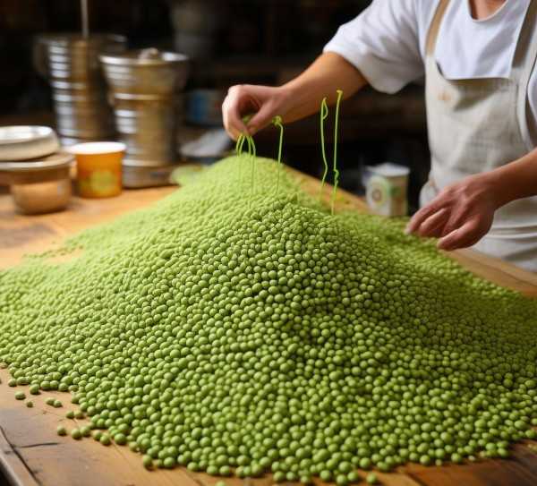 豆腐制作揭秘，一斤豆子能产出多少豆腐？